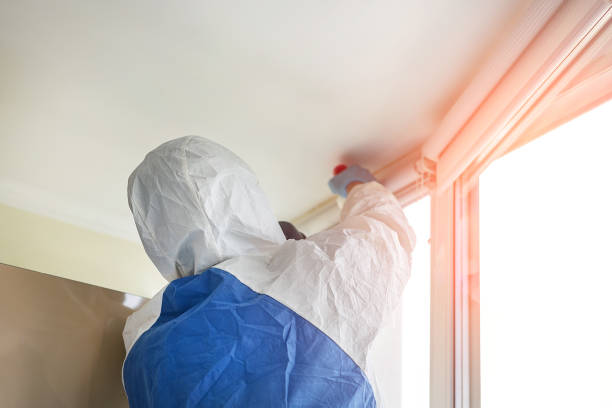 Best Mold Removal for HVAC Installations  in Lewistown, IL