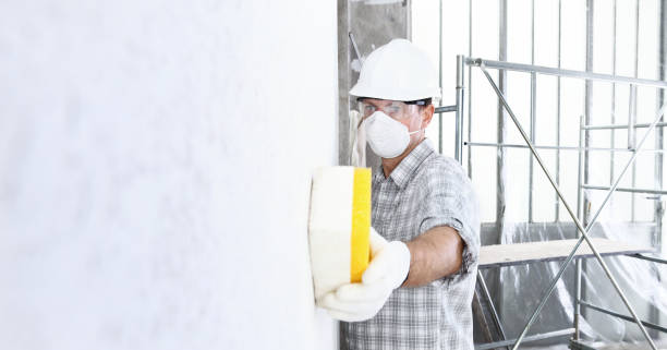 Best Black Mold Removal  in Lewistown, IL